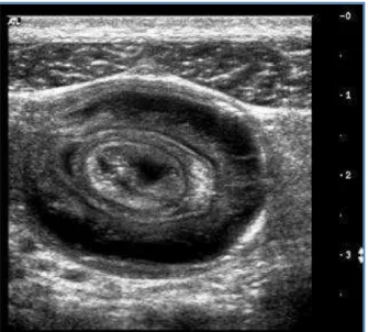 Fig. 2: Multimodalities of Management 