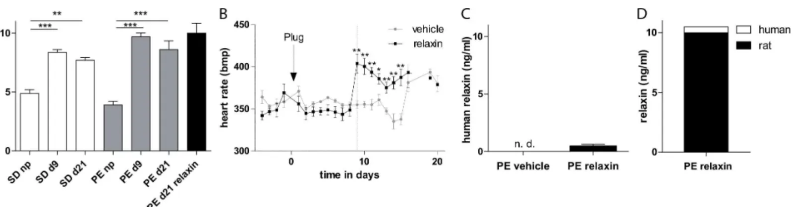Fig 1. Effect of relaxin on heart rate and relaxin serum concentration. (A) Rat relaxin was increased during pregnancy in transgenic and non-transgenic control rats