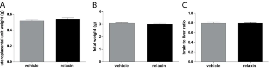 Fig 5. Effect of relaxin on fetal phenotype. Fetal weight (A) Uteroplacental unit weight (B), and brain to liver weight ratio (C) in vehicle and relaxin treated hAogen TGR dams at gestational day 21