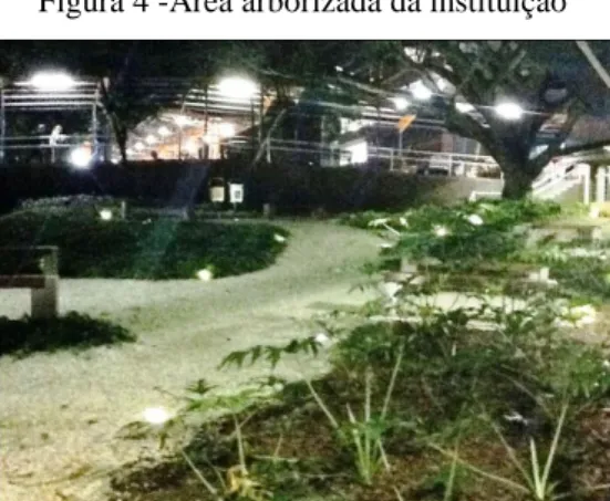 Figura 3 - Área arborizada da instituição 