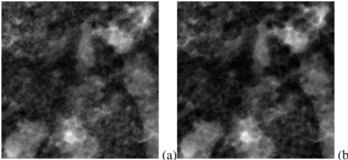 Fig. 2. The obtained result for a soil image: (a) the CT soil image in grey scale; (b) the results after a morphological erosion operation.