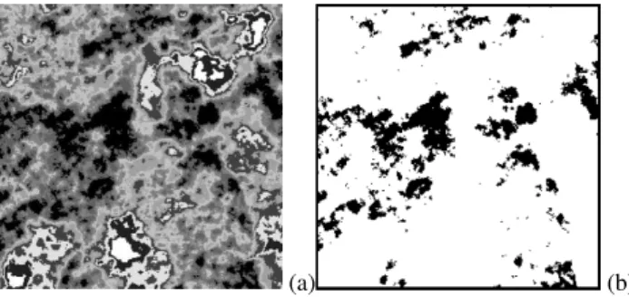 Fig. 5. The obtained results for the SOM method: (a) the image segmented with nine clusters; and (b) the binary image obtained from the segmentation process, where 0 value corresponds to the pore space class and 1 value corresponds to the soil solid class.