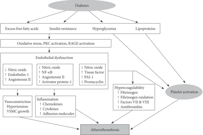 Fig. 1. Proposed mechanism of atherothrombosis in diabetes mellitus [4,5]. PKC, protein kinase C; RAGE, receptor for advanced  glycation endproducts; NF-κB, nuclear factor kappa-light-chaenhancer of activated B cells; PAI-1, plasminogen activator  in-hibit