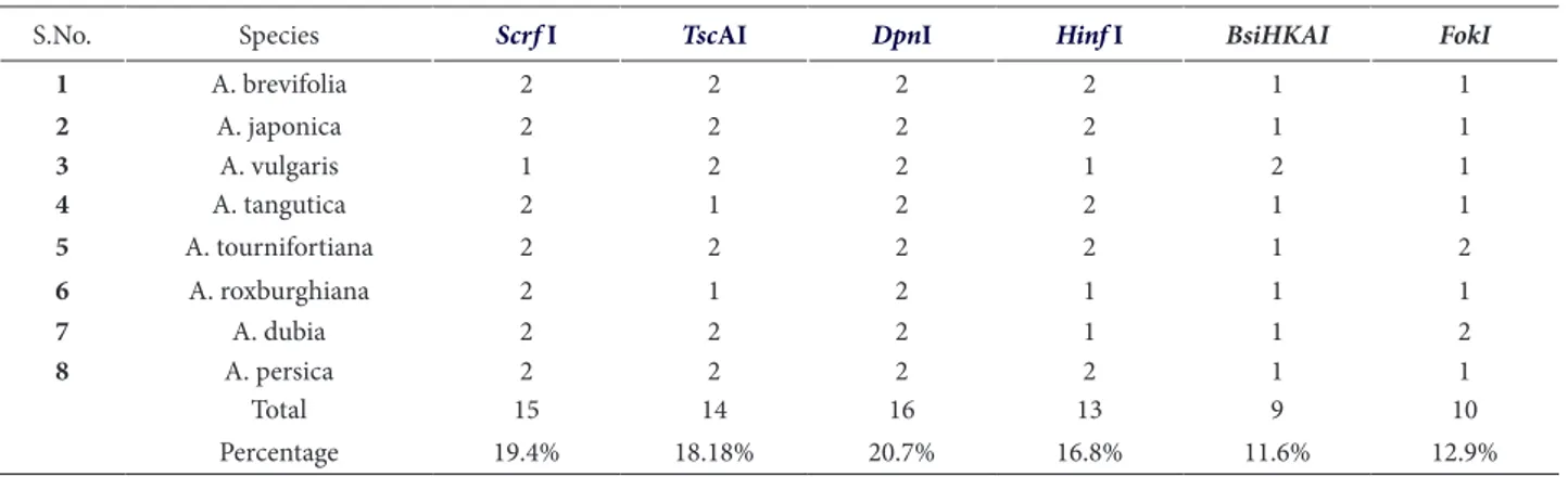 Table 2: Total number of restricted fragments produced by diferent restriction enzymes among eight species of Artemisia.