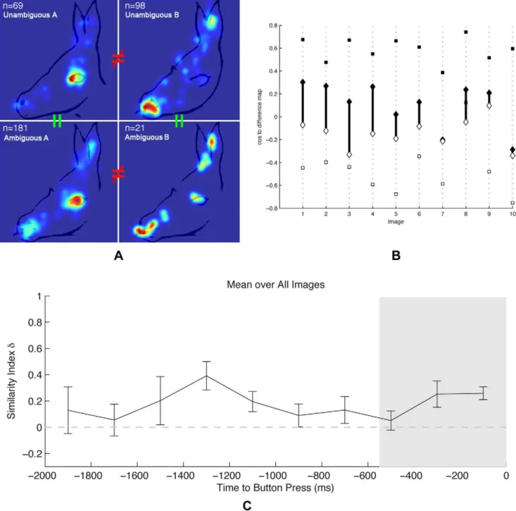 Figure 2. Viewing behavior prior to awareness. (a) Examples of viewing behavior prior to object awareness on the ambiguous and unambiguous stimuli with corresponding percepts