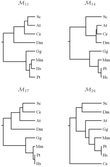 Figure 2. Similarity in dinucleotide compositional biases in prokaryotes:. Dendograms from dinucleotide relative abundances in sets of minimal absent words of word length 11 ( M 11 ), 14 ( M 14 ), 17 ( M 17 ) and 24 ( M 24 ) for selected prokaryotic genome