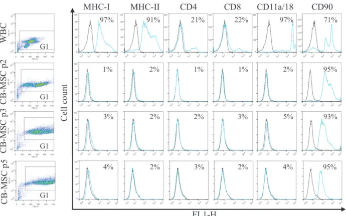 Fig 2. Antigen expression on WBC in CB, and CB-MSC at passage (p) 2, 3 and 5. Consistent gates were applied for all cell analyses