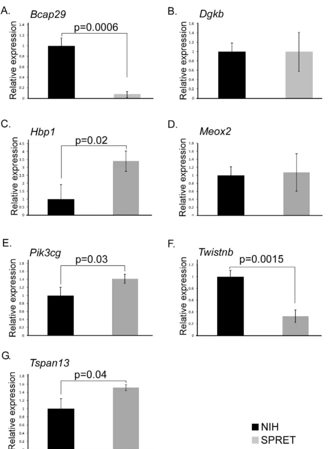 Figure 4. mRNA expression of candidate genes with luciferase expression differences. Quantitative PCR of seven genes evaluated for differential luciferase expression between SPRET/Outbred and NIH/Ola 3 9 UTR are shown