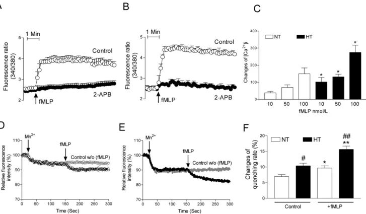 Figure 4A). In addition, the chemotaxis using an incubation time of 4 h was also used to test monocytes’ migration