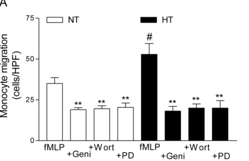 Figure 5. Increased monocyte migration associated with tyrosine kinase and phosphoinositide 3-kinase (PI3K) or ERK in essential hypertension