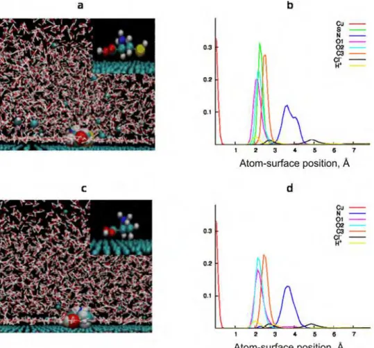 Fig. 7. Adsorption configurations (a and c panel) and normalized histograms of atomic  positions relative to Cu(111) surface (b and d panel) for cysteine and alanine molecules in 
