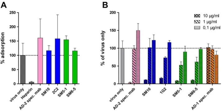 Figure 4. Identification of gB Dom I and Dom II as antibody binding structures. Plasmids expressing Dom I or Dom II were transfected into Cos7 cells and protein expression was analyzed 48 h later by indirect immunofluorescence using Group A or Group B mabs