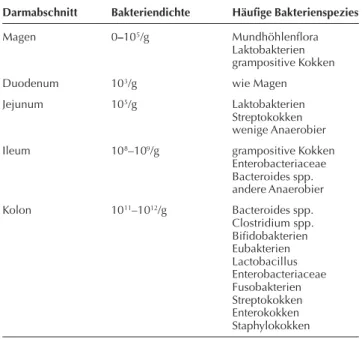 Abbildung 1: Rasterelektronenmikroskopische Aufnahme des Magen- Magen-Darm-Traktes (Dünndarm) einer Maus.