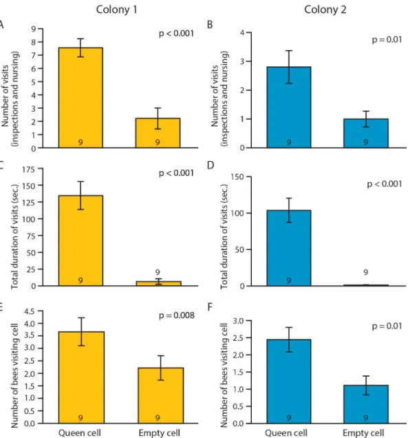 Fig 1. Worker response to a queen cell with a larva vs. an empty cell. Number of visits (inspections and nursing, A and B), total time spent visiting (C and D) and number of bees visiting cell (E and F), for bees from Colony 1 (A, C, E) and Colony 2 (B, D,