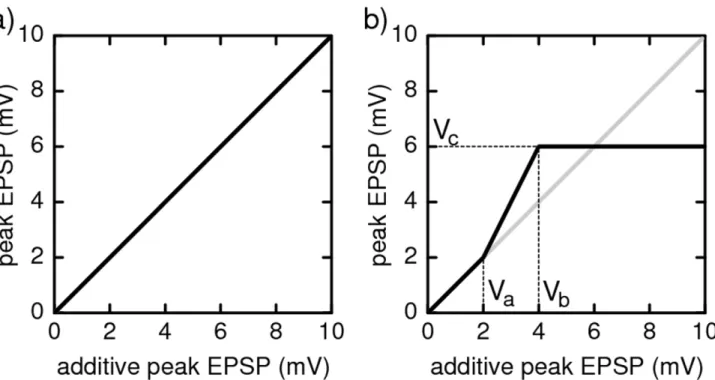 Figure 1. Dendritic modulation function for (a) additive and (b) non-additive coupling