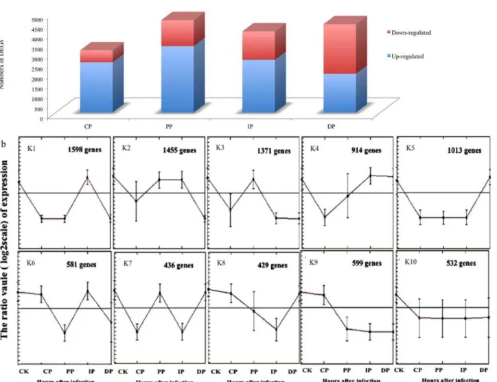 Fig 5. Numbers of differently expressed genes among the developmental stages of leaves infected with B