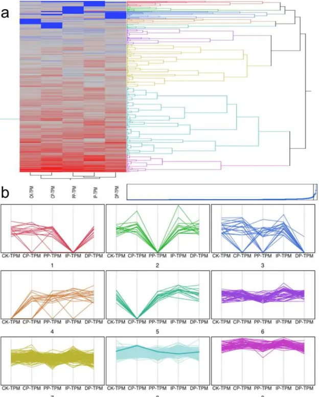 Fig 6. Cluster and parallel plot of transcription factors expressed at significantly different levels in the five successive stages of infection
