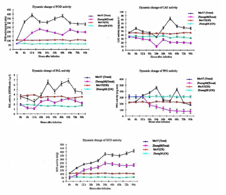 Fig 2. Determination of SOD, POD, PPO, CAT, and PAL enzyme activity in maize leaves responsive to B