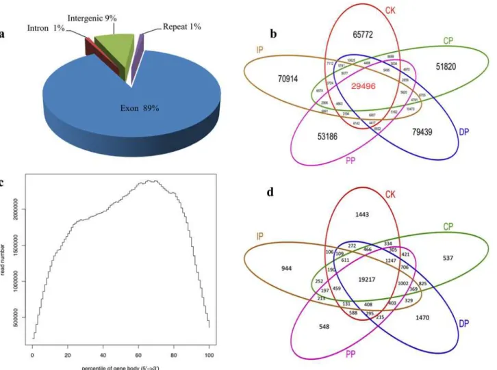 Fig 3. Digital Gene Expression (DGE) analysis of the Mo17 leaf transcriptome responding to B
