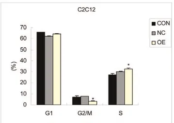 Figure 4. The target gene expression in C2C12 cells transfected with the CRABP2 lentivirus vector