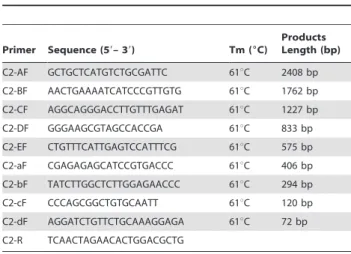 Table 2. Primers used to make constructs to analyse promoter activity in the study.