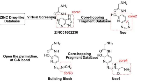 Figure 3.The structures and docking scores list for the top ten compound candidates modified from Neo and ZINC01602230.