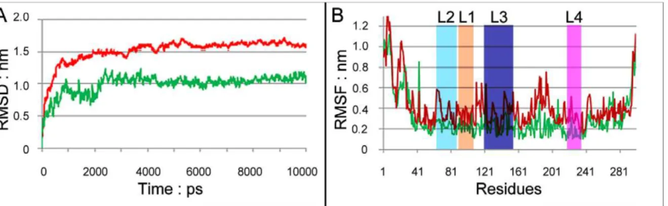 Figure 5. Analysis of molecular dynamics simulations. (A) The RMSD for all backbone atoms of the Neo6-HA1 system (green) and the HA1 system (red)