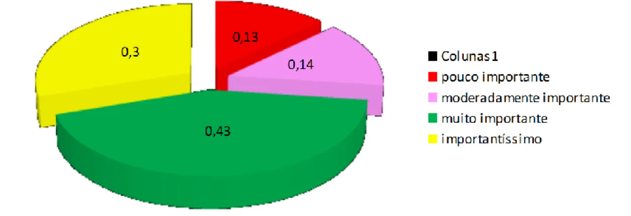 Figura 4 –Percentual do nível de importância sobre as questões ambientais de Roraima 