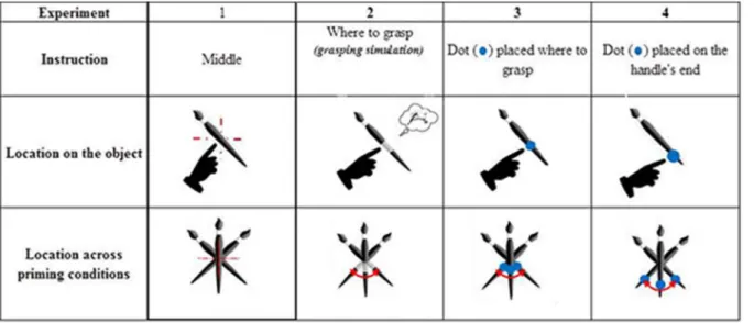 Figure 2. Schematic representation of the different priming conditions used in the experiments conducted as part of this study.