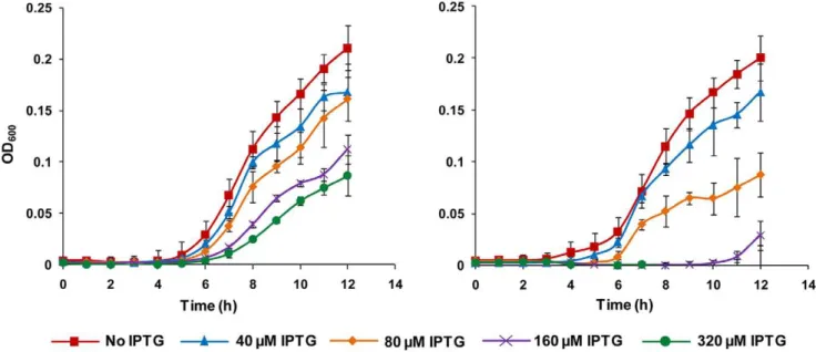 Figure 3. Effect of yidC antisense expression on corresponding gene transcript. Relative Real-time quantitative PCR (qPCR) was carried out to compare yidC mRNA expression in uninduced and induced pHN678-yidC harbouring E