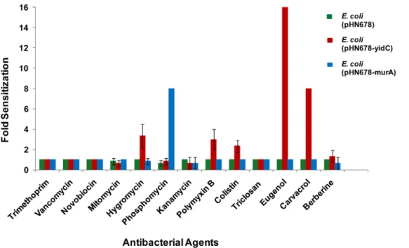 Figure 4. Fold sensitization of yidC antisense expressing E. coli DH5 a cells to various antibacterial agents