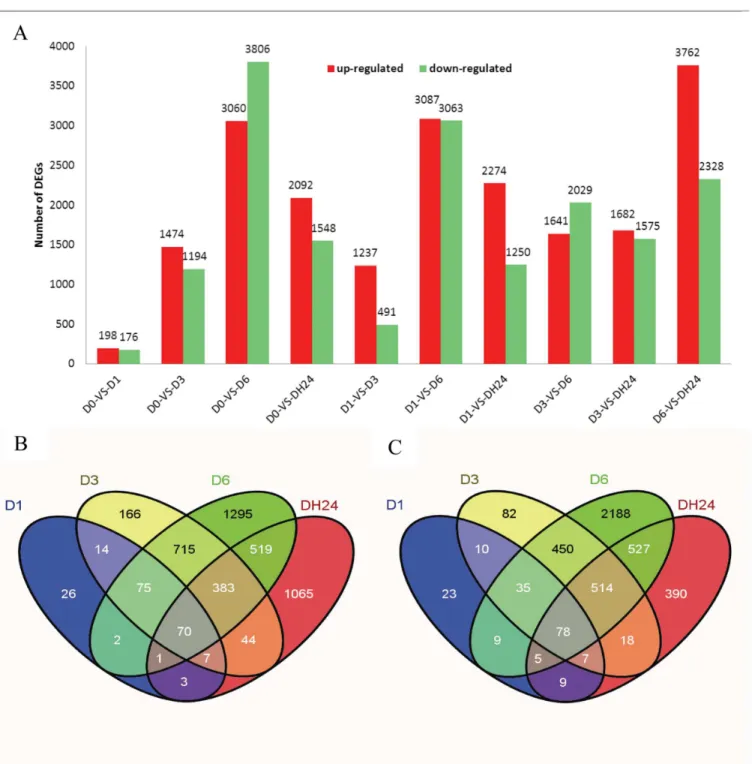 Fig 2. Differentially expressed genes between different libraries. Up-regulated (red) and down-regulated (green) genes were quantified (A)