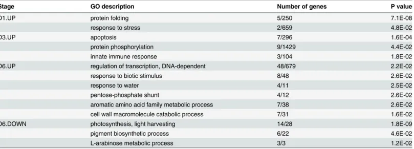 Table 2. Over-represented GO terms for specific highly expressed genes at a given time point compared to the other time points.