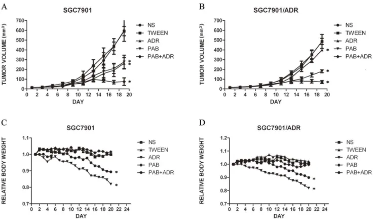 Figure 2. Inhibition of gastric tumor growth by pseudolaric acid B and mean body weight change of nude mice