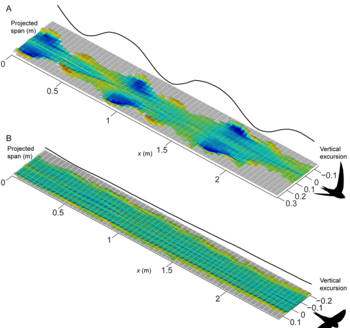 Figure 1. Examples of induced flow tracks behind the swifts at 8 m/s. Colour and relief both show magnitude of induced flow, with shades of blue showing downward velocities corresponding to positive lift and shades of red/yellow showing upward velocities c