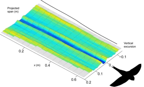 Figure 3. Average span efficiency across the range of flight speeds measured. Circles correspond to flapping flight and squares correspond to gliding flight