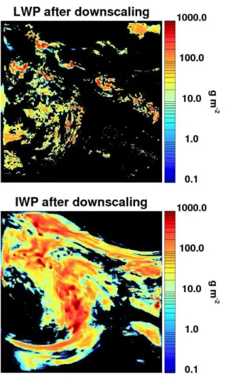Fig. 2. Cloud liquid water (top) and cloud ice (bottom) for the COSMO-EU grid after resolution enhancement.