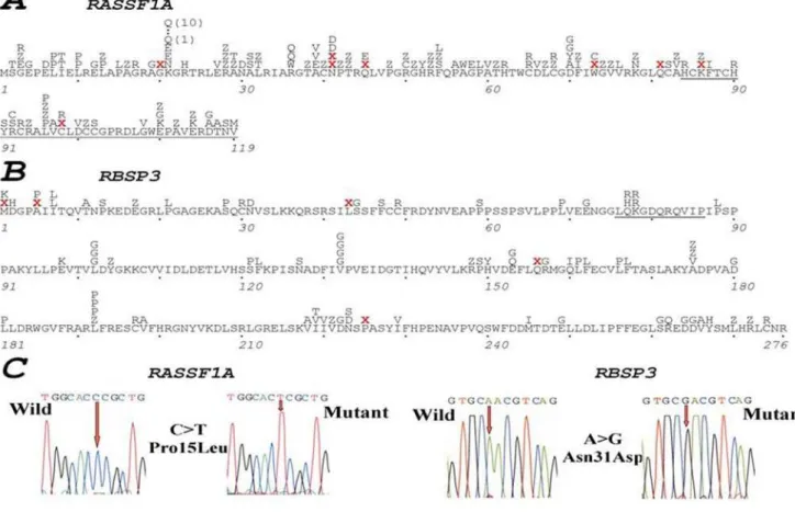 Figure 1. Mutations in RASSF1A and RBSP3 in natural and experimental tumors. Position of mutations detected in RASSF1A and RBSP3 is shown in A and B respectively