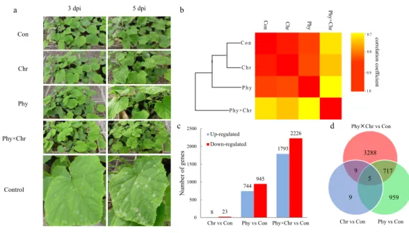 Figure 1 The global transcriptome similarity and differences caused by physcion and chrysophanol treatment for cucumber powdery mildew