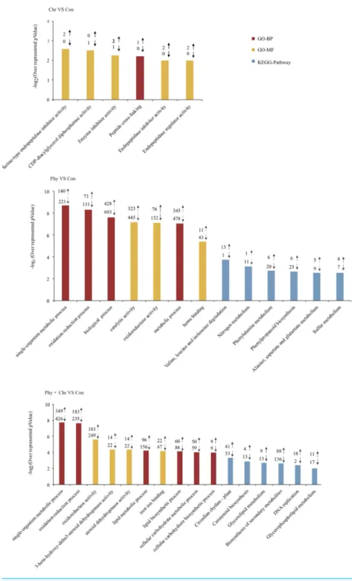 Figure 2 Top 10 Go (gene ontology) and pathway categories enriched for up- (up arrows) and down-regulated (down arrows) genes differentially expressed in cucumber leaves activated by