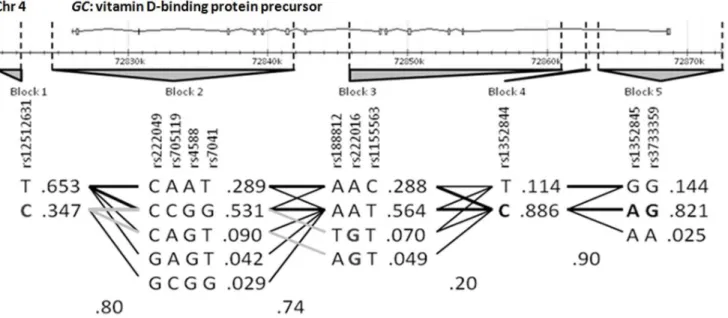 Table S1 SNPs on GC and VDR genes considered in this study. GC refers to Vitamin D binding protein gene; VDR refers to Vitamin D receptor gene