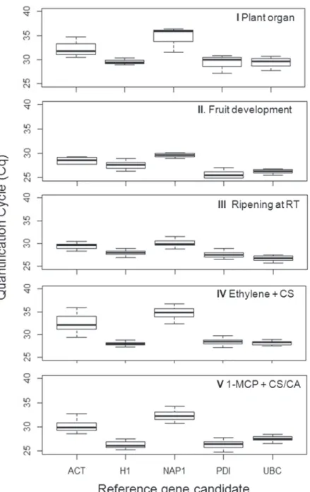Fig 1. Gene expression levels of the candidate reference genes in apple. The genes, MdACT (ACTIN), MdH1 (HISTONE1), MdNAP1 (NUCLEOSSOME ASSEMBLY PROTEIN 1), MdPDI (PROTEIN DISULPHIDE ISOMERASE) and MdUBC (UBIQUITIN-CONJUGATING ENZYME E2) were evaluated in 