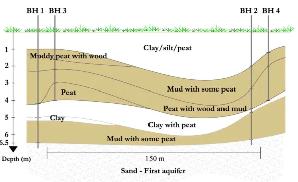 Fig. 3. Schematization of the CCL based on borehole descriptions.