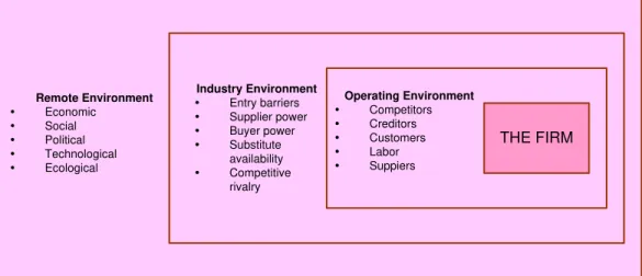 Figure 2.  The Component of Company’s Macro -Environment  Meanwhile  to  mention  the  environment  as  a  competitive 
