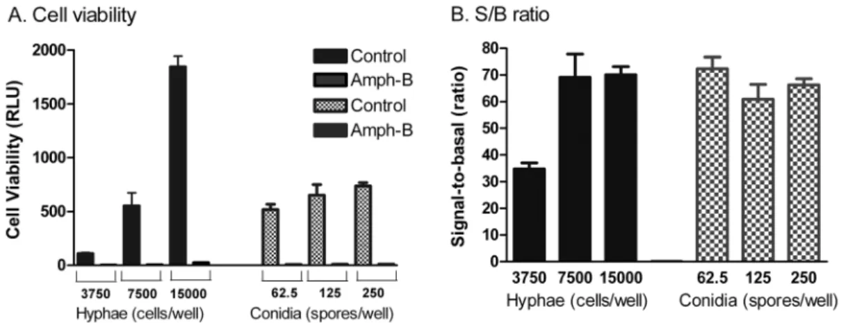 Figure 3. Concentration-response curves of Amphotericin B and fluconazole against E. rostratum in hyphal fragment and conidia assays