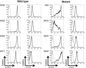 Fig 3. Impaired hCD2 reporter expression in the absence of the deleted region. Flow cytometry analyses of human CD2 (hCD2) and rat CD2 (rCD2) reporter gene expression in spleen T cells (TCRβ + ) from the indicated, independent wild type (Wt) and mutant (Mt
