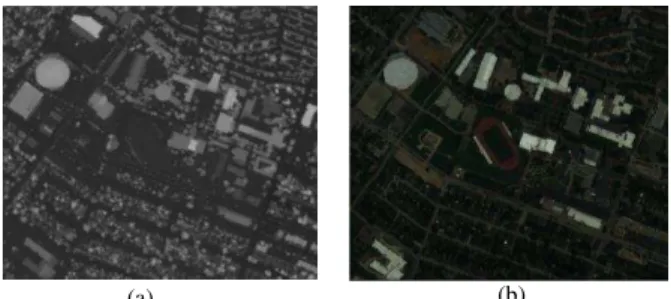 Figure 2. (a) LiDAR derived DSM (b) Hyperspectral imagery  Land  cover  classes  consist  of  three  types  of  grass  (healthy,  stressed  and  synthetic),  road,  soil,  residential  and  commercial  buildings