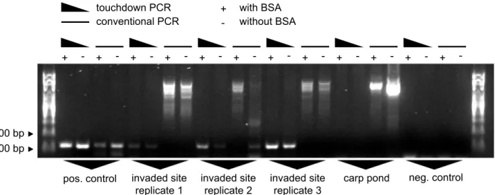 Fig 4. PCR protocol tests. Three water samples were taken from the invaded commercial harbor at site #2b