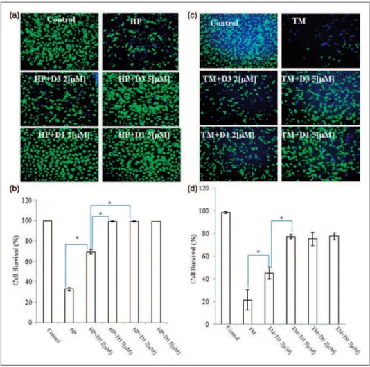 Figure 5. Protective effects of various PEDs on ARPE-19 cells. (a and c) ARPE-19 cells were plated at 1  10 5 cells/cm 2 and incubated for 24 hr