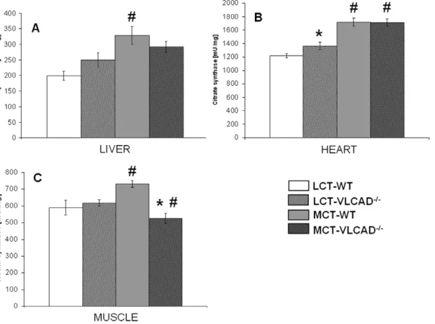 Figure 3. Citrate synthase activity in WT and VLCAD 2/2 mice fed either with LCT or MCT diet